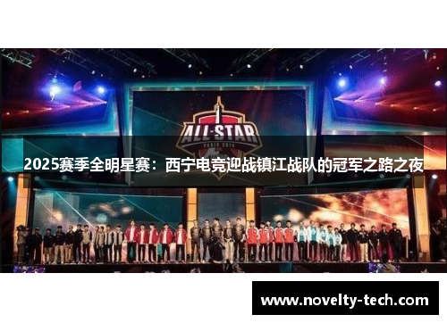2025赛季全明星赛：西宁电竞迎战镇江战队的冠军之路之夜